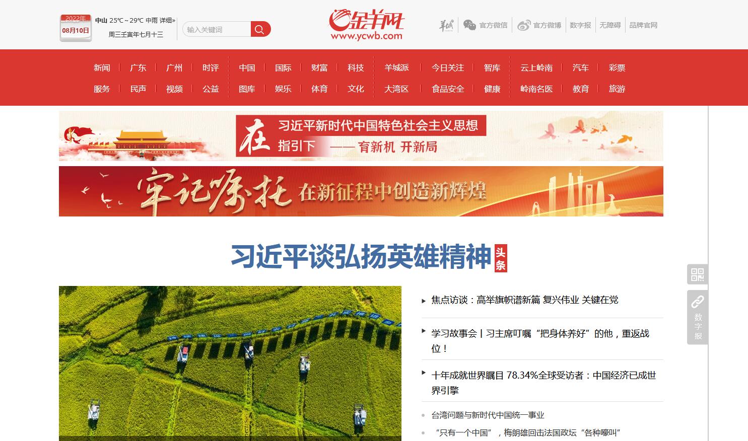 金羊网